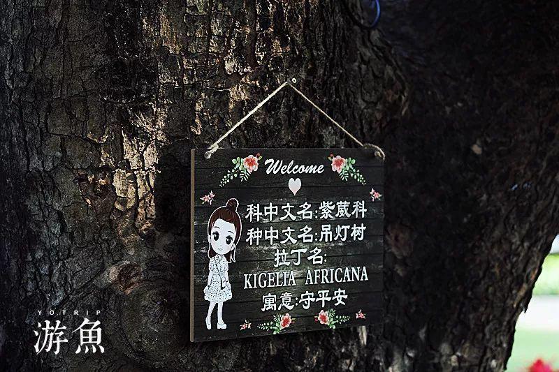 逃离整洁的杂物间